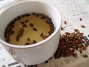 塞納左岸 塞納左岸咖啡 咖啡