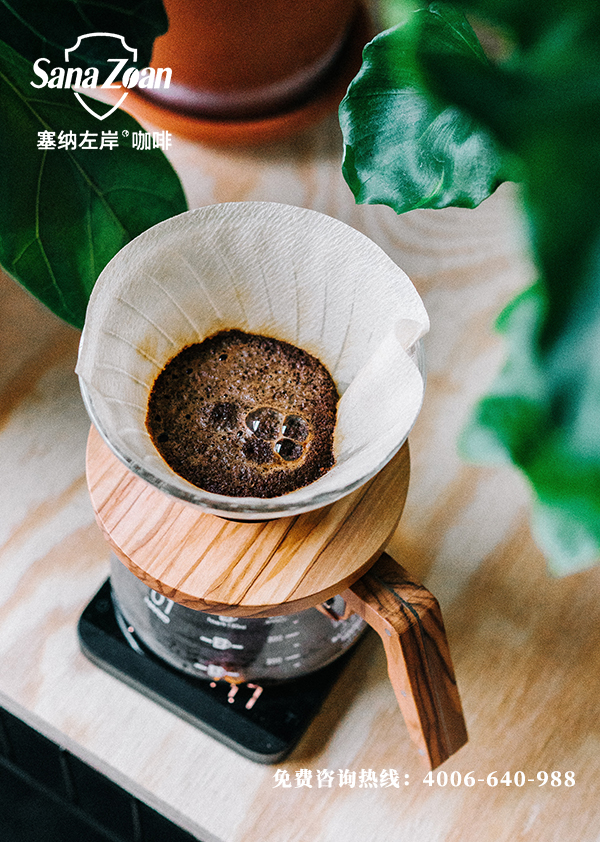 塞納左岸咖啡,咖啡店加盟